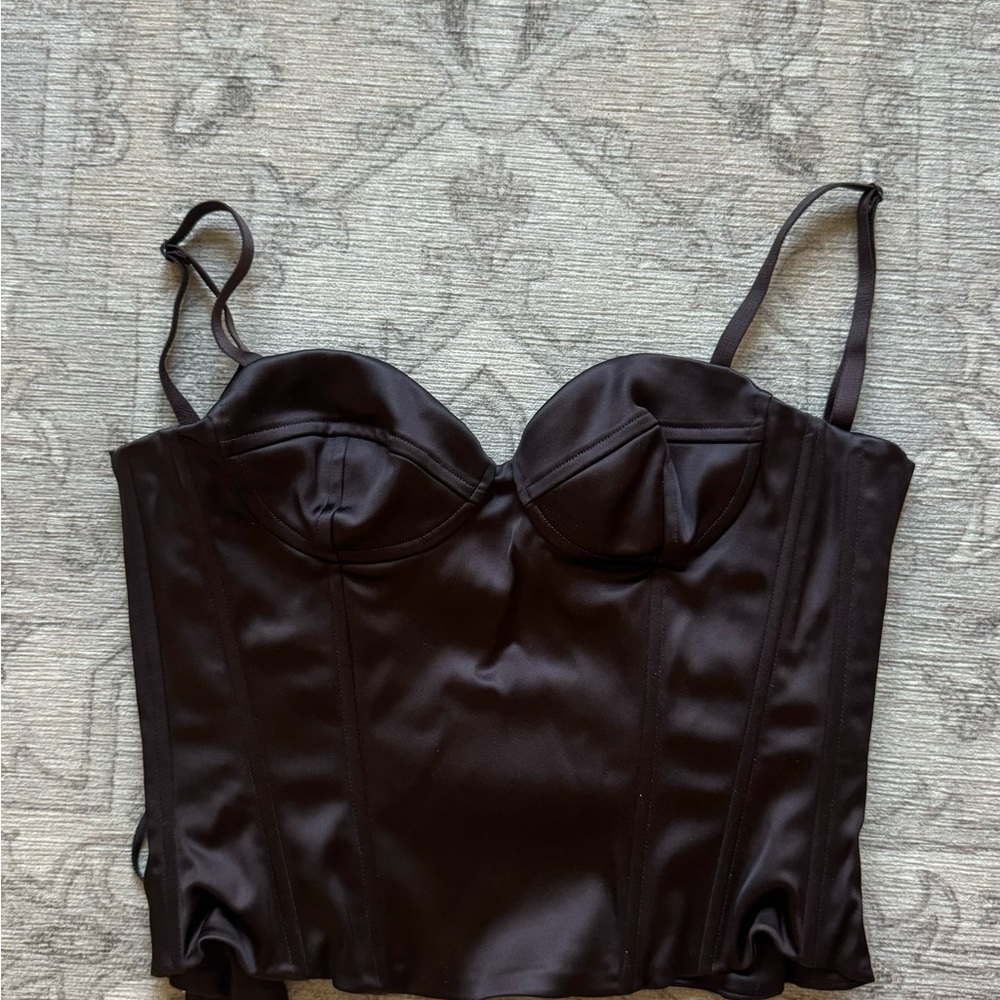 Aritzia Dazzle Bustier Top in brown